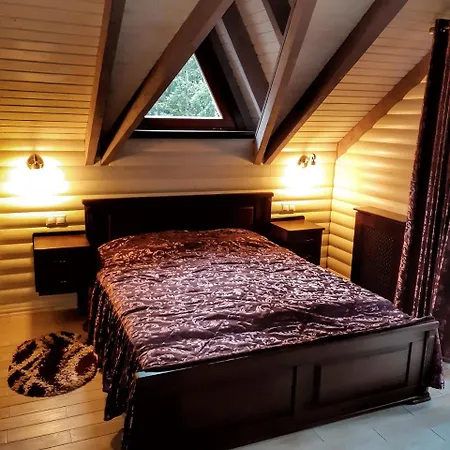 Apartment Knyazhyi Dvir Strigalnya