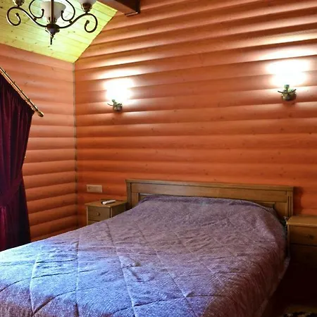 Apartment Knyazhyi Dvir Strigalnya